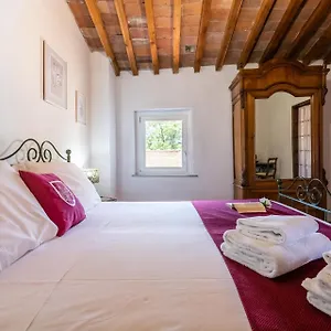 Lh The Rose Tower View Apartment Pisa